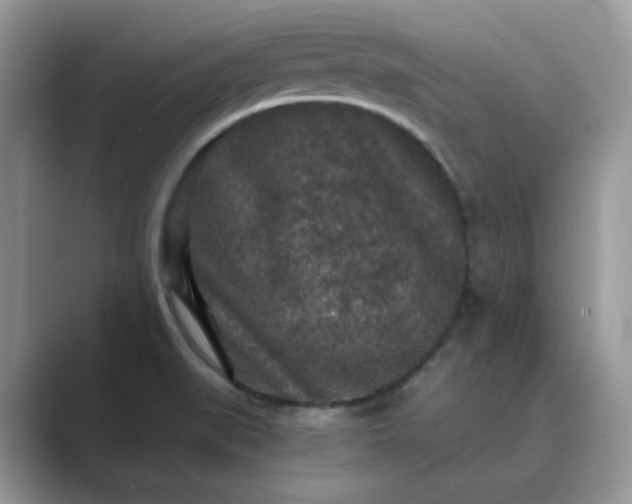 X0000089671519200707051539