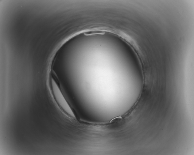 X0000089671520200707051539