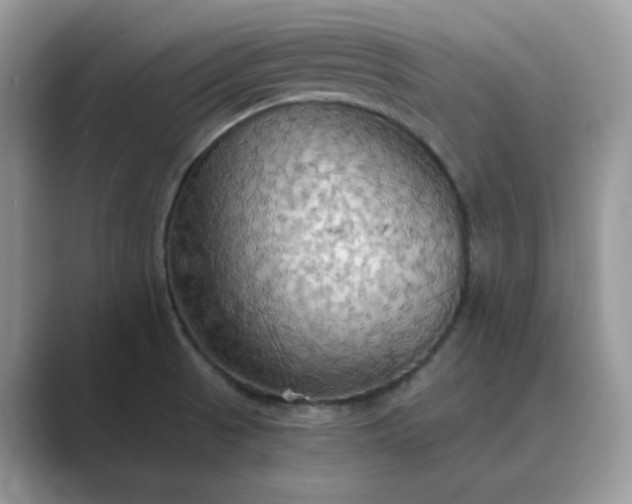 X0000089671521200707051539