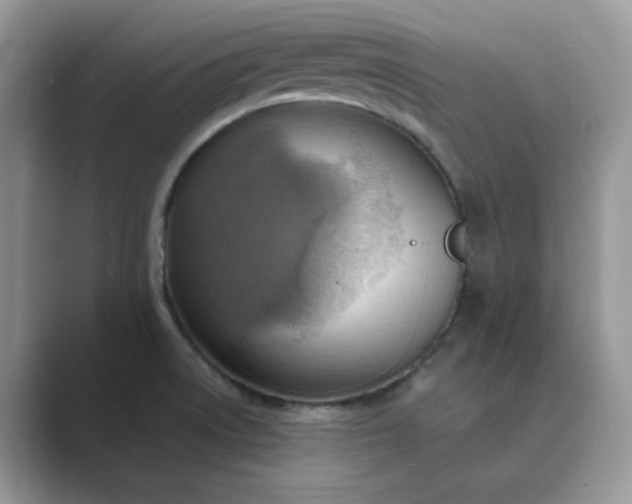 X0000089671522200707051539