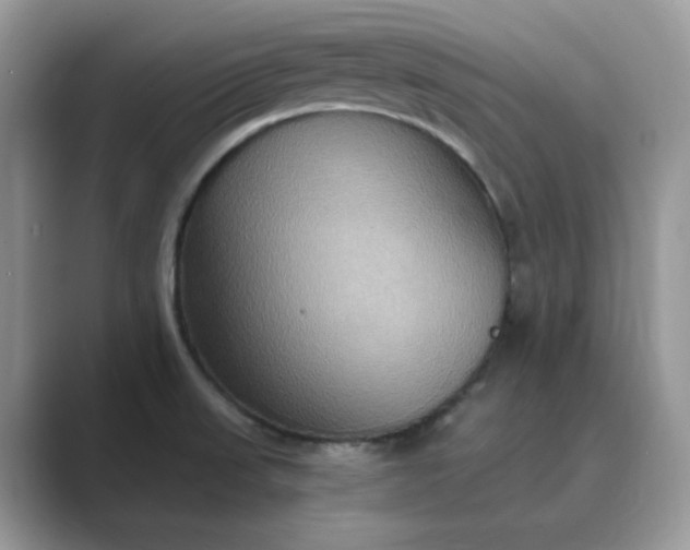 X0000089671523200707051539