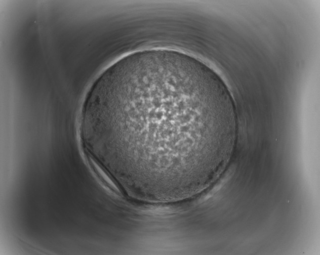 X0000089671525200707051539