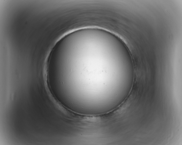X0000089671526200707051539