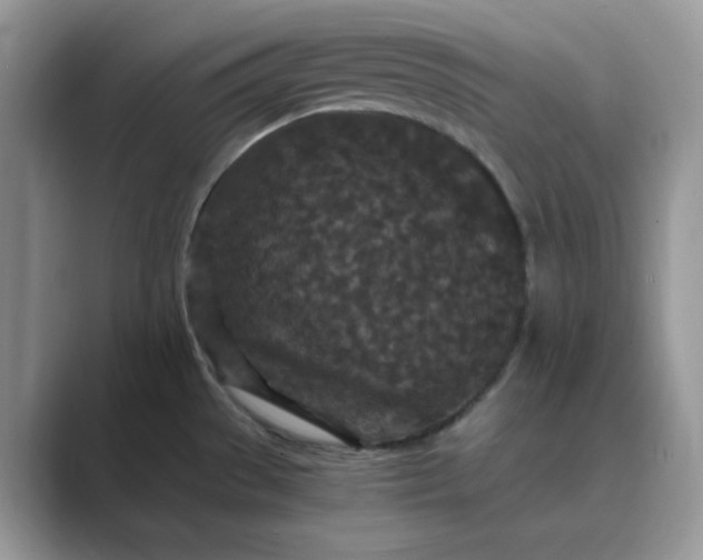 X0000089671529200707051539