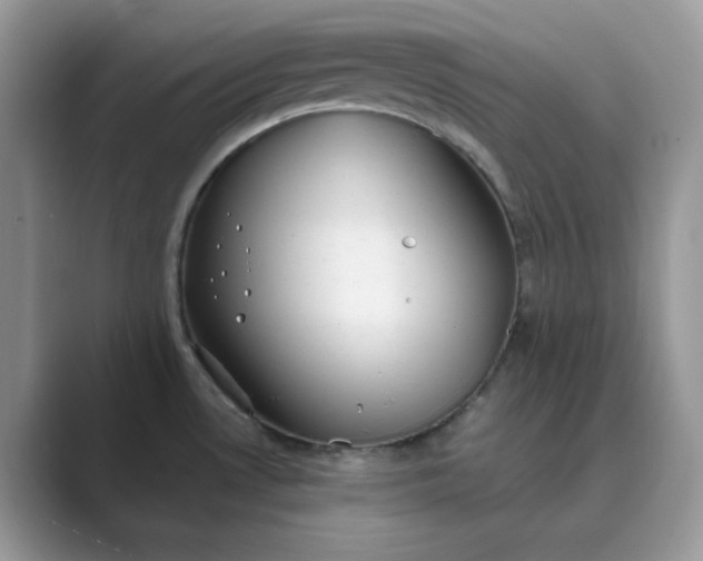 X0000089671530200707051539