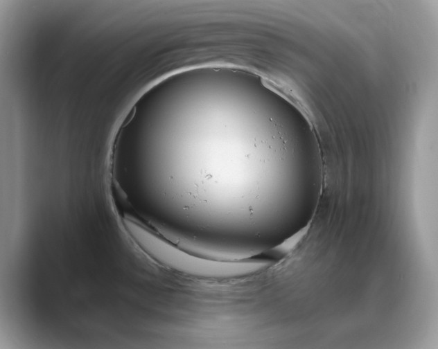 X0000089671532200707051539