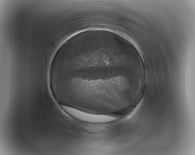 X0000089671533200707051539