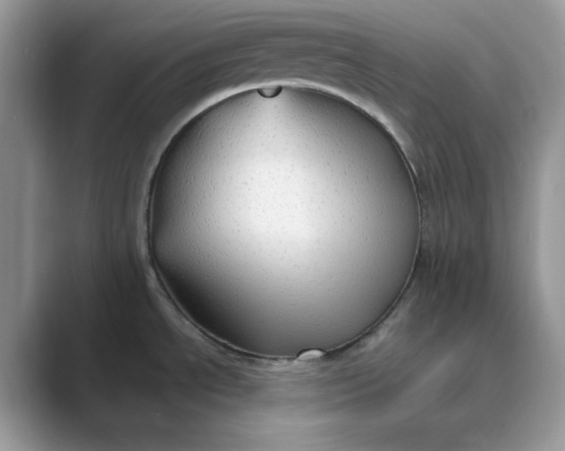 X0000089671534200707051539