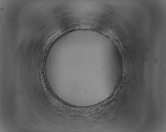 X0000089670001200707121235