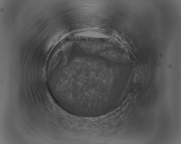 X0000089670002200707121235