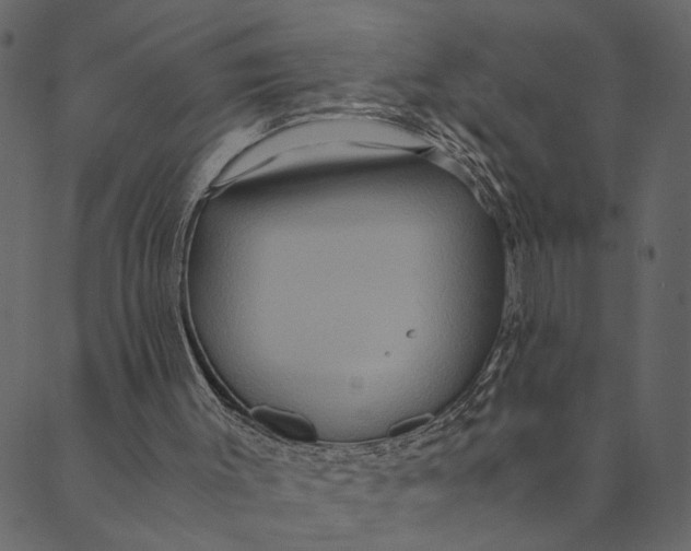 X0000089670003200707121235