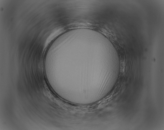 X0000089670004200707121235