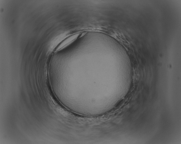 X0000089670005200707121235