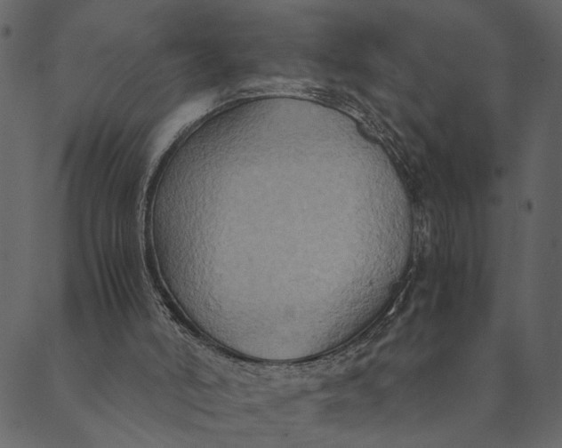 X0000089670006200707121235