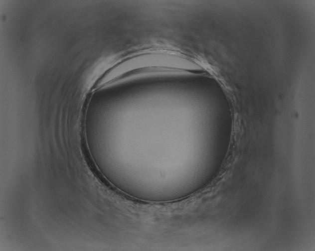 X0000089670007200707121235