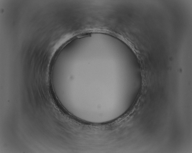 X0000089670008200707121235