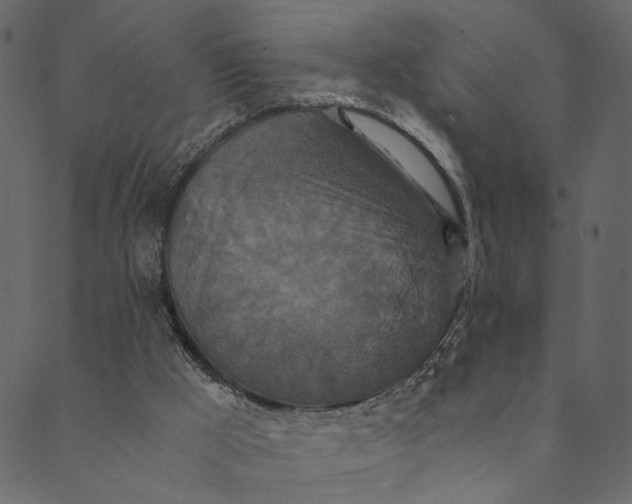 X0000089670009200707121235