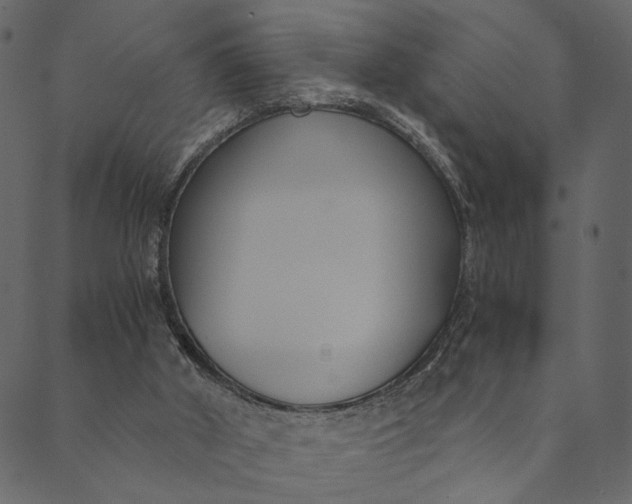 X0000089670010200707121235