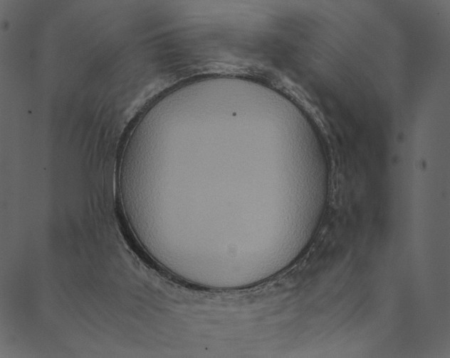 X0000089670011200707121235