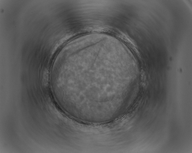 X0000089670012200707121235