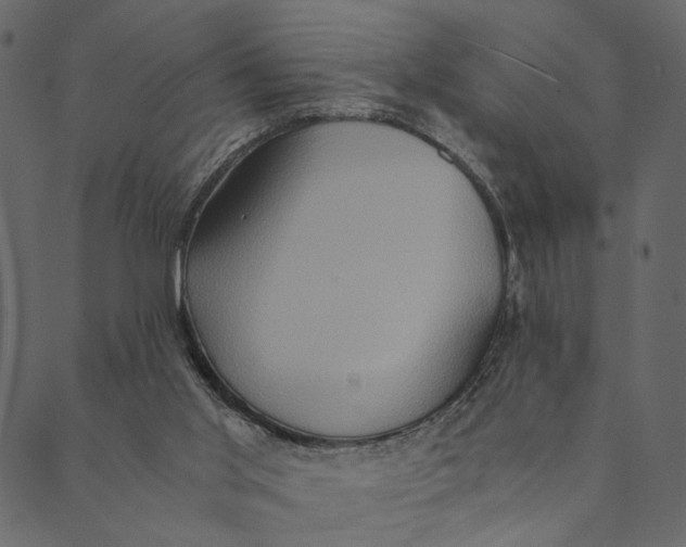 X0000089670013200707121235