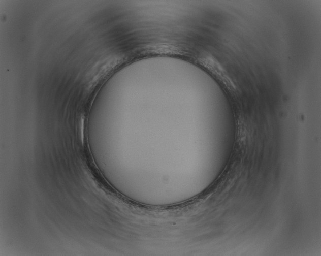 X0000089670014200707121235