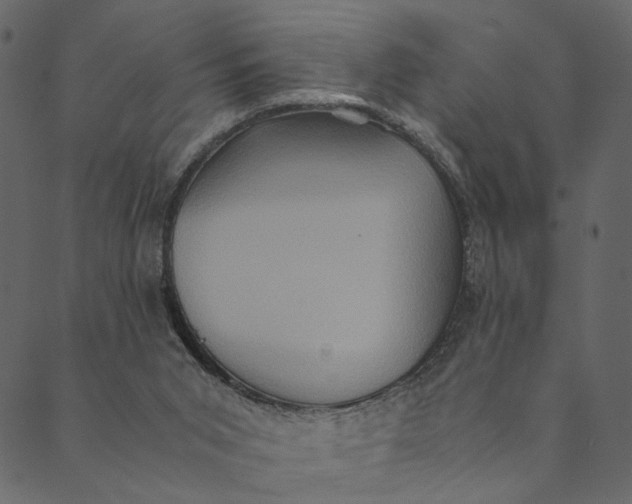 X0000089670015200707121235