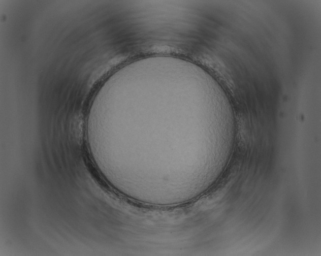 X0000089670016200707121235