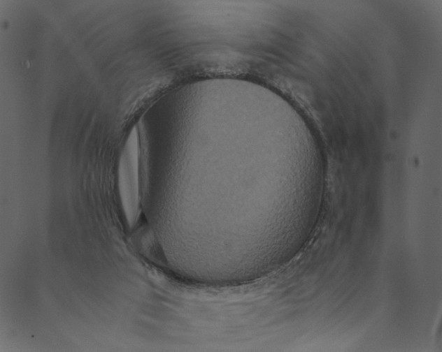 X0000089670017200707121235