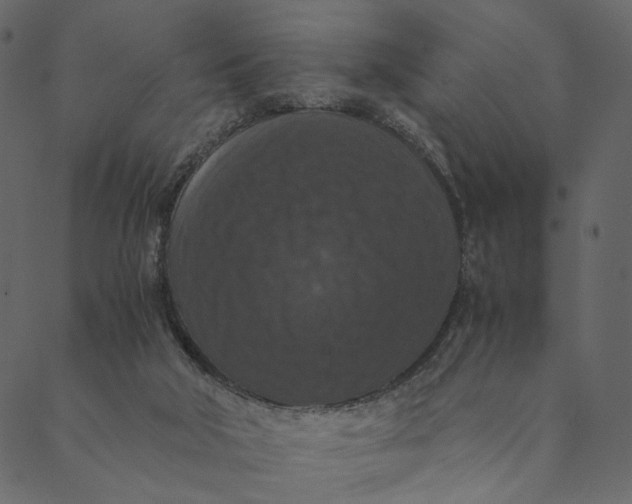 X0000089670018200707121235