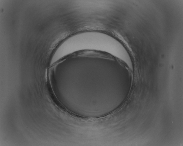 X0000089670019200707121235