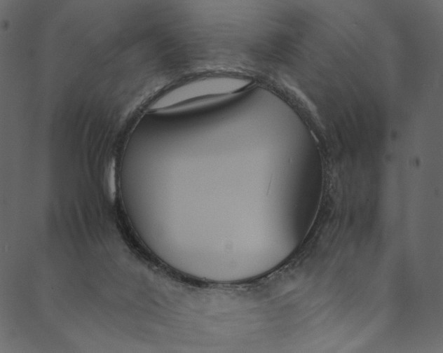 X0000089670020200707121235