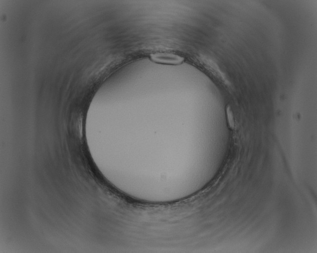 X0000089670021200707121235