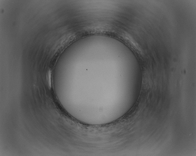 X0000089670022200707121235