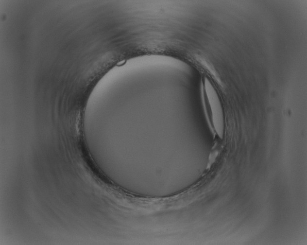 X0000089670023200707121235