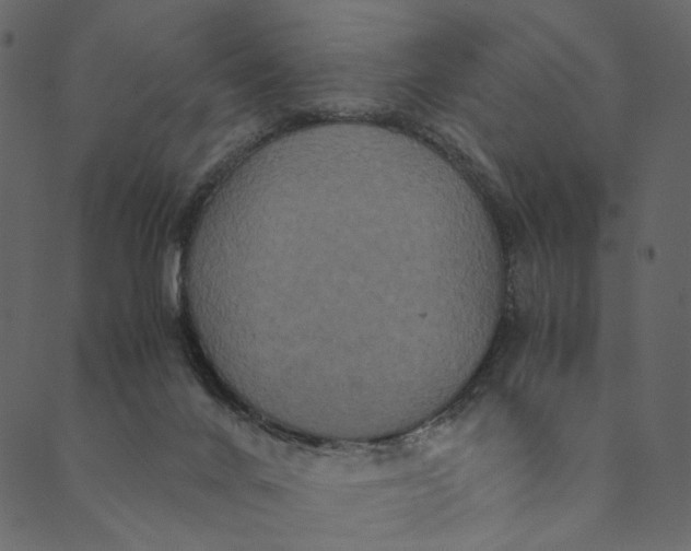 X0000089670024200707121235