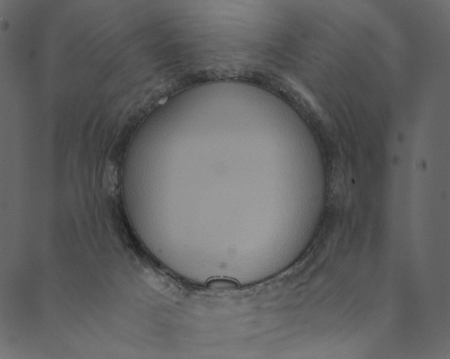 X0000089670025200707121235