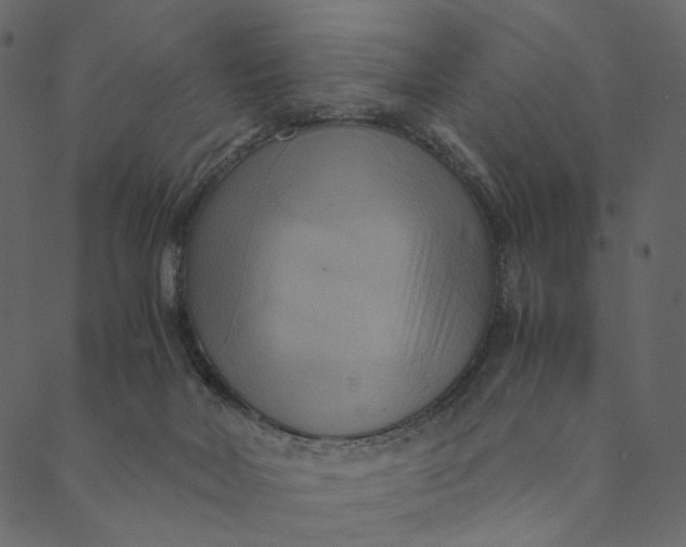 X0000089670026200707121235