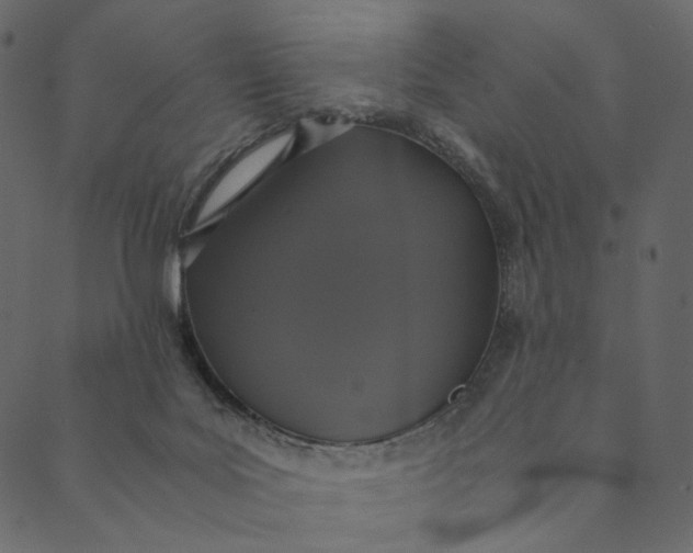 X0000089670027200707121235