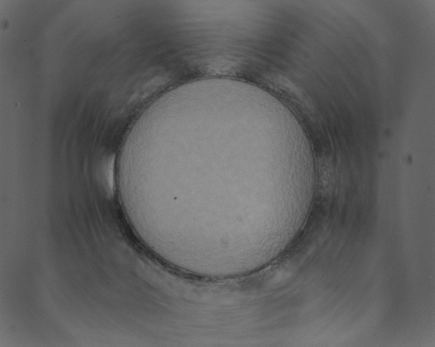 X0000089670028200707121235