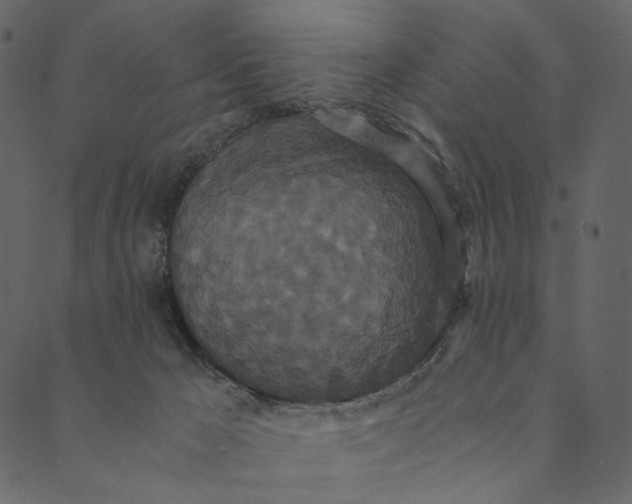 X0000089670029200707121235