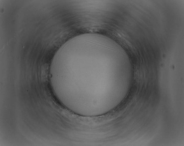 X0000089670030200707121235