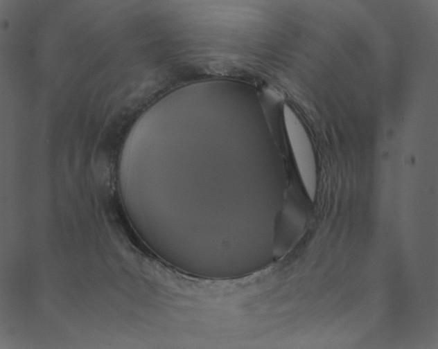 X0000089670031200707121235