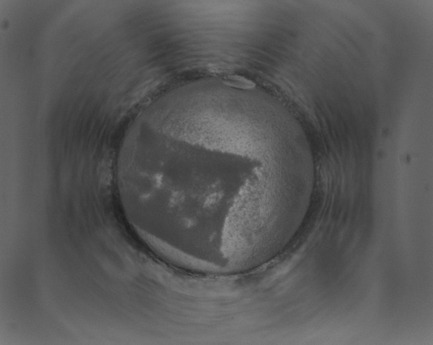 X0000089670032200707121235