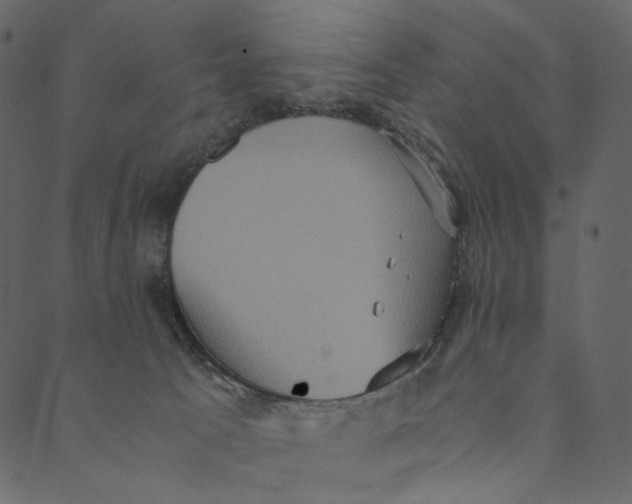 X0000089670033200707121235