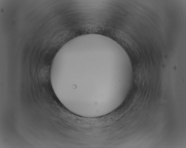 X0000089670034200707121235