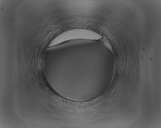 X0000089670035200707121235