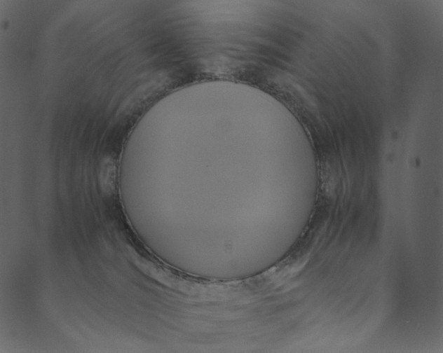 X0000089670036200707121235