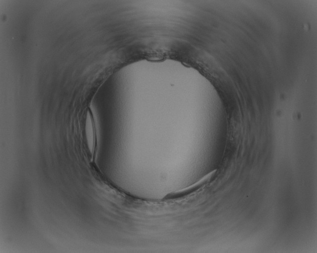 X0000089670037200707121235