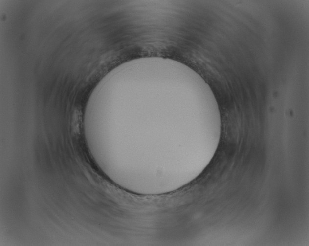 X0000089670038200707121235